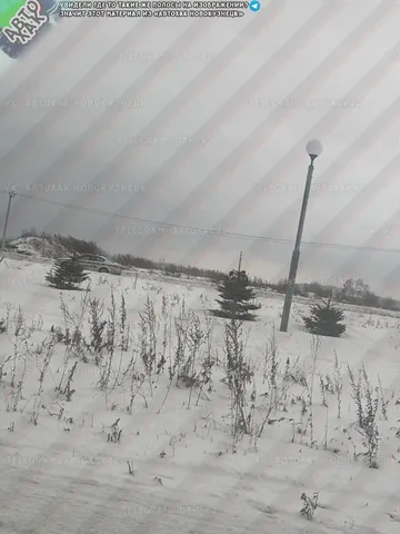 Выезд с березовой рощи - Услуги в Новокузнецк