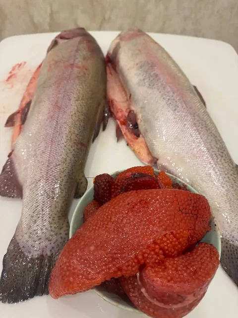 Свежайшая радужная форель из Хакасии - Хобби и отдых в Новокузнецк