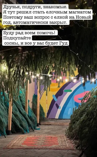 Новогодние сосны с доставкой - Хобби и отдых в Екатеринбург