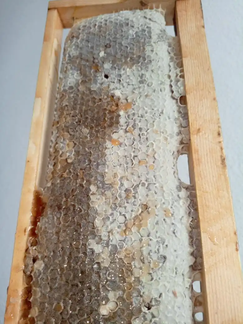 Продажа алтайского мёда и продукции пчеловодства