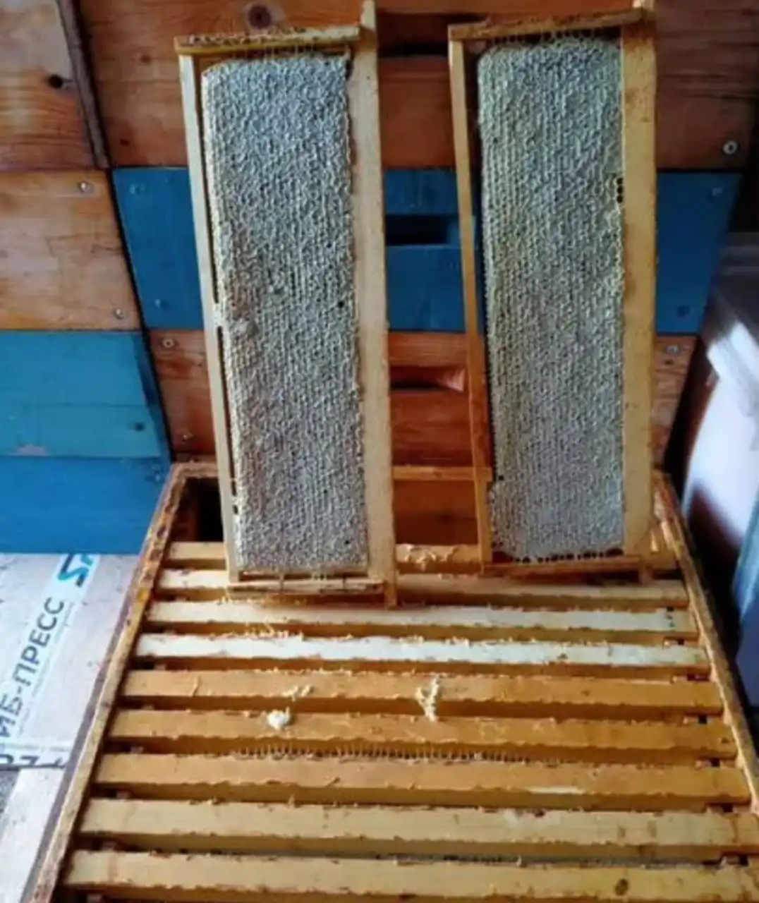 Продажа алтайского мёда и продукции пчеловодства