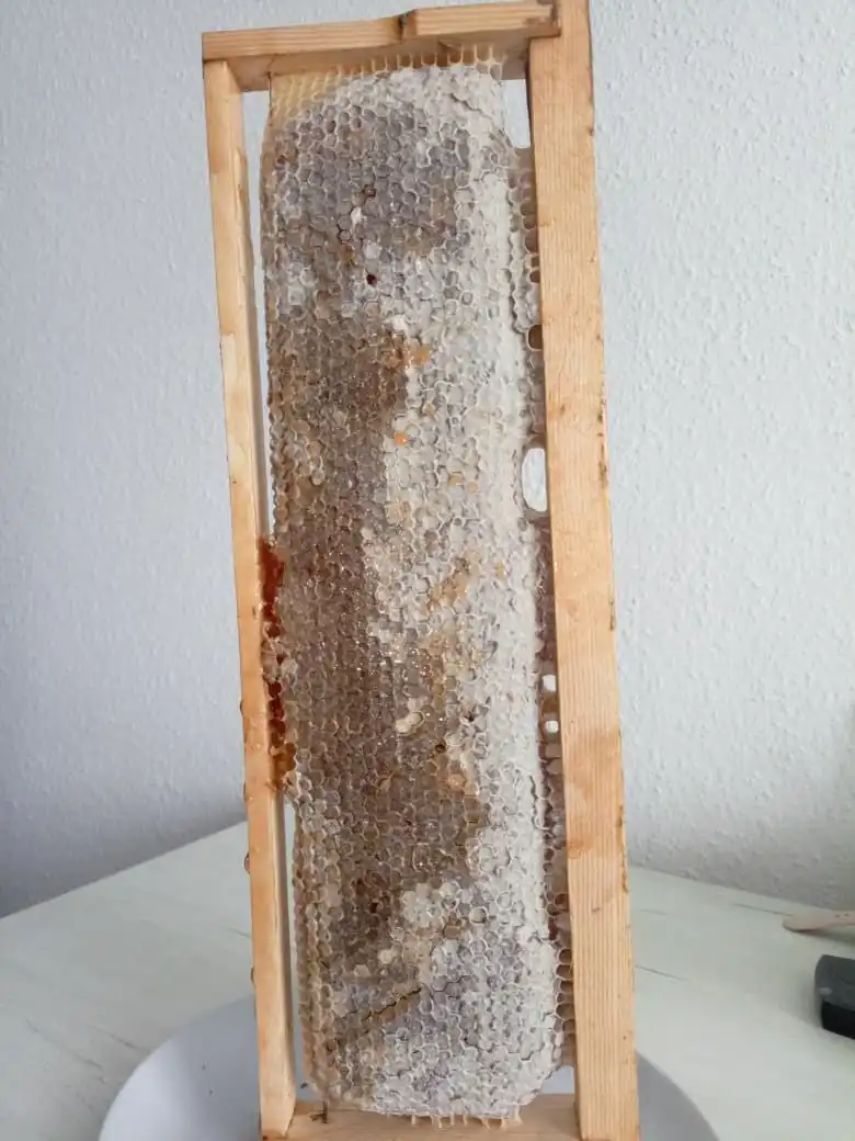 Мёд с Алтая