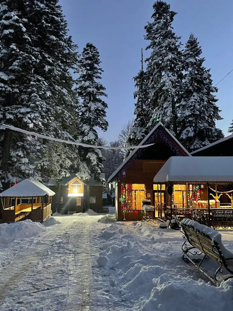 Путёвка в отель Forest Yard в Архызе на 3 ночи - Туризм (Хобби и отдых) в Екатеринбург