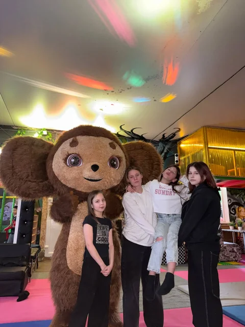 Детская комната «Алиса в стране чудес» для праздника - частное объявление в Сысерть