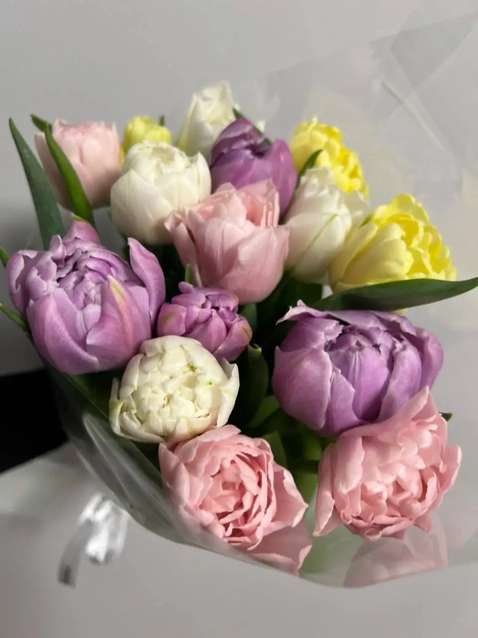 Тюльпаны тепличные к 8 Марта в Екатеринбурге - Цветы (Барахолка) в Екатеринбург
