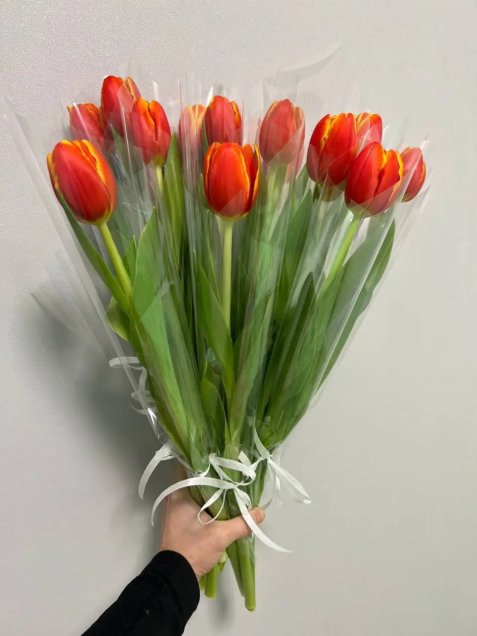 Тюльпаны тепличные к 8 Марта в Екатеринбурге - Цветы (Барахолка) в Екатеринбург