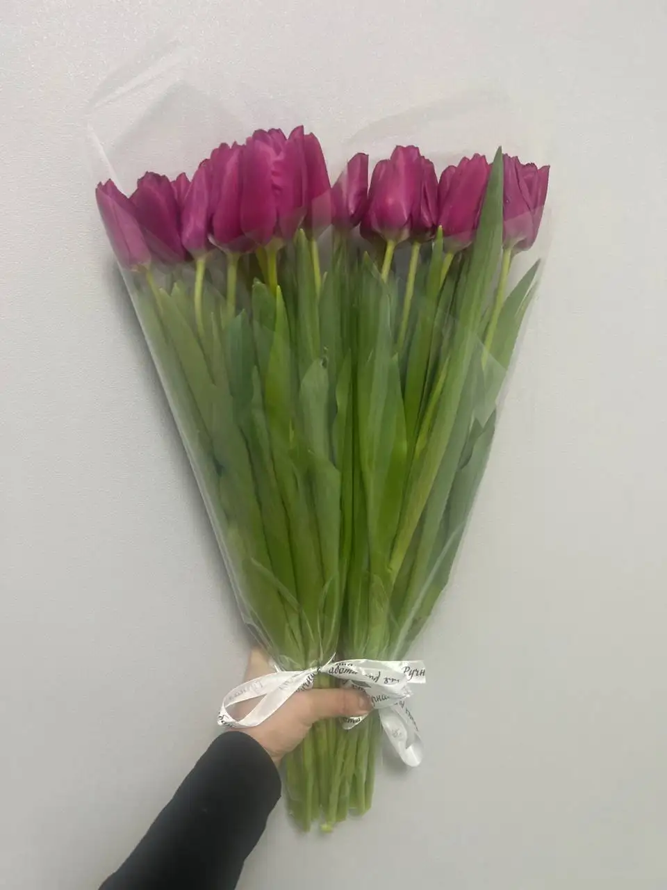 Тюльпаны тепличные к 8 Марта в Екатеринбурге - Цветы (Барахолка) в Екатеринбург