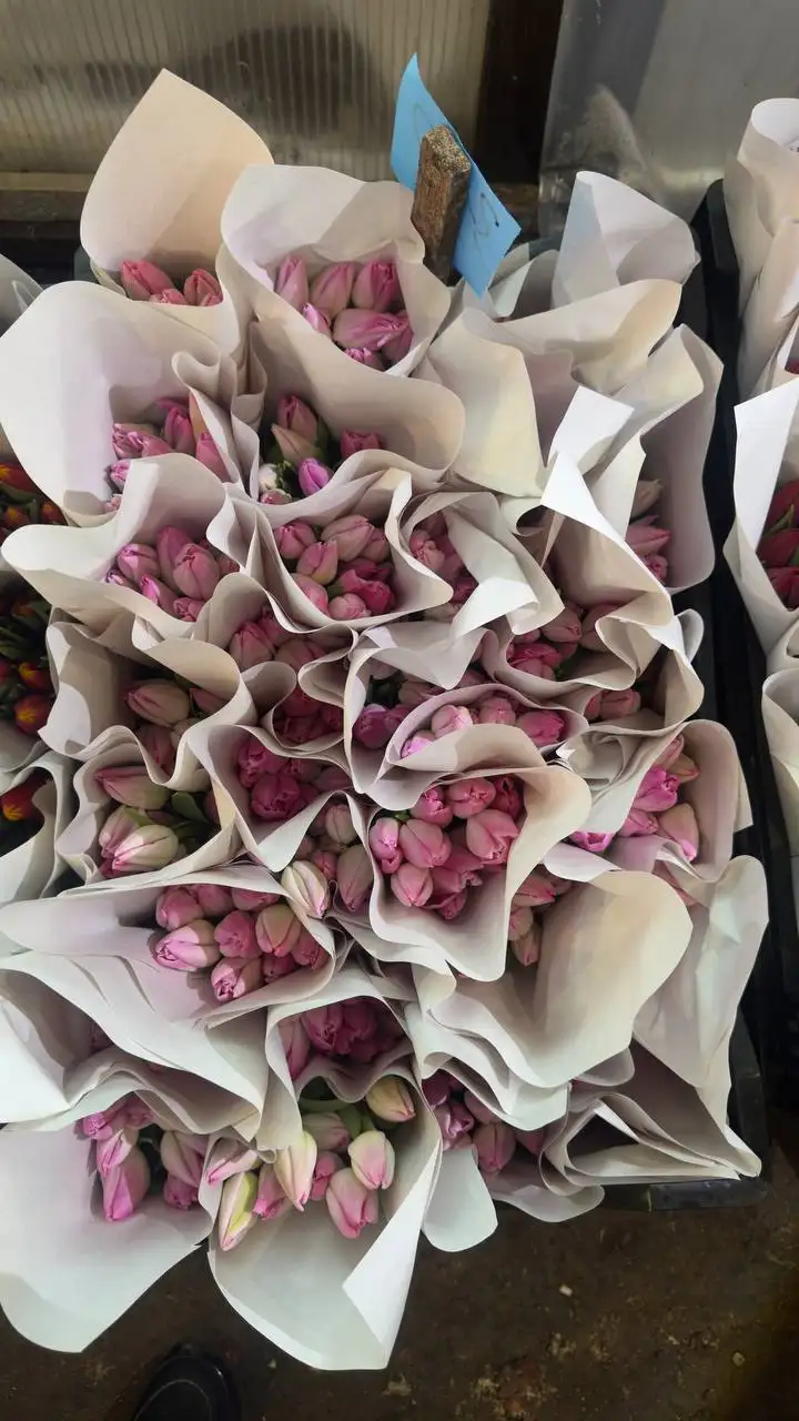 Тюльпаны к 8 Марта с доставкой по Екатеринбургу - Цветы (Хобби и отдых) в Екатеринбург