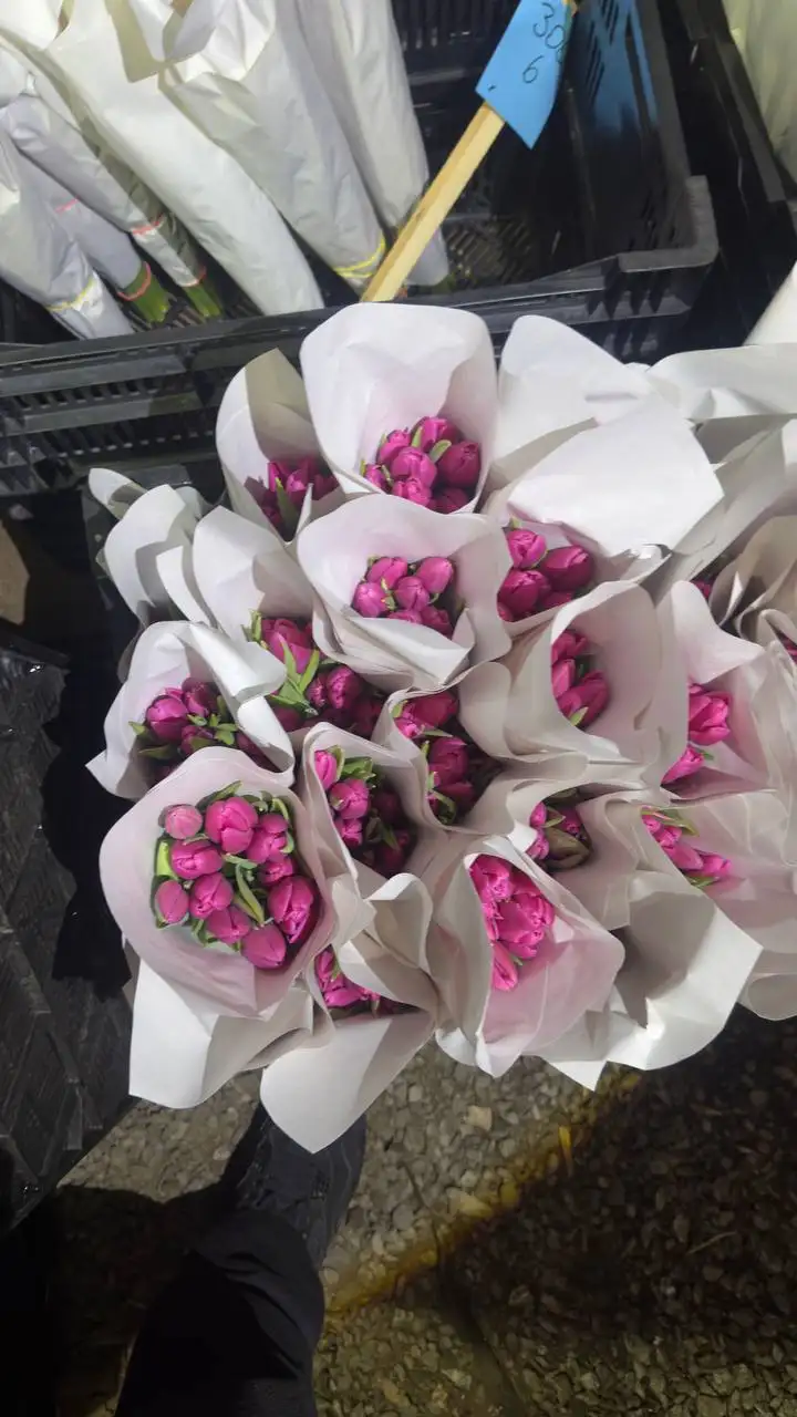 Тюльпаны к 8 Марта с доставкой по Екатеринбургу - Цветы (Хобби и отдых) в Екатеринбург