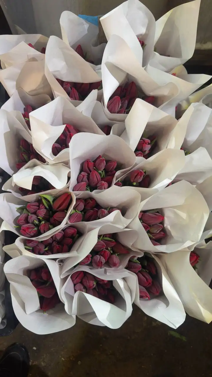 Тюльпаны к 8 Марта с доставкой по Екатеринбургу - Цветы (Хобби и отдых) в Екатеринбург