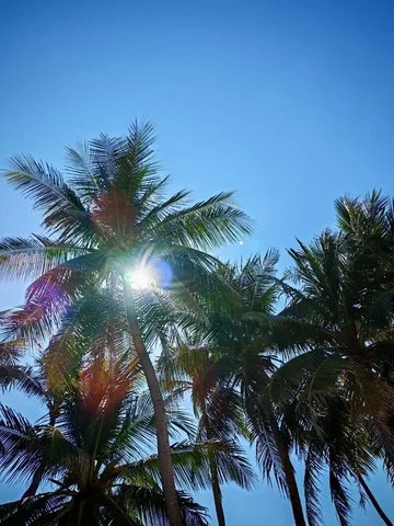 Тур на Пхукет в отель Kata Place 3* на 8 ночей - Туры в Екатеринбург