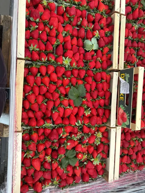 Свежая клубника и клубника в шоколаде - Для дома в Екатеринбург