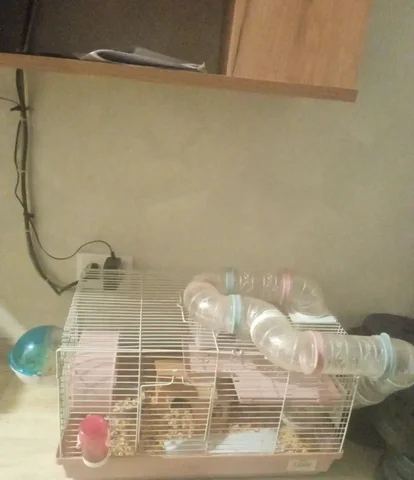 Клетка для хомячка с аксессуарами - Животные в Новокузнецк