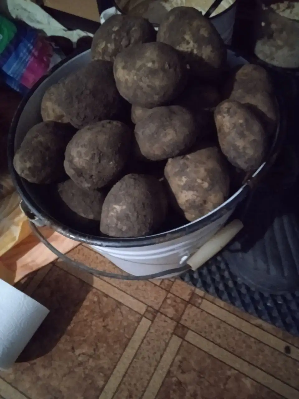 Продажа картофеля ведром с бесплатной доставкой - Продукты (Барахолка) в Новокузнецк