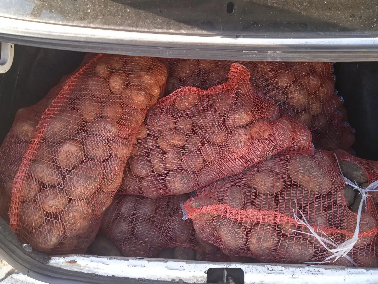 Продажа картофеля ведром с бесплатной доставкой - Продукты (Барахолка) в Новокузнецк