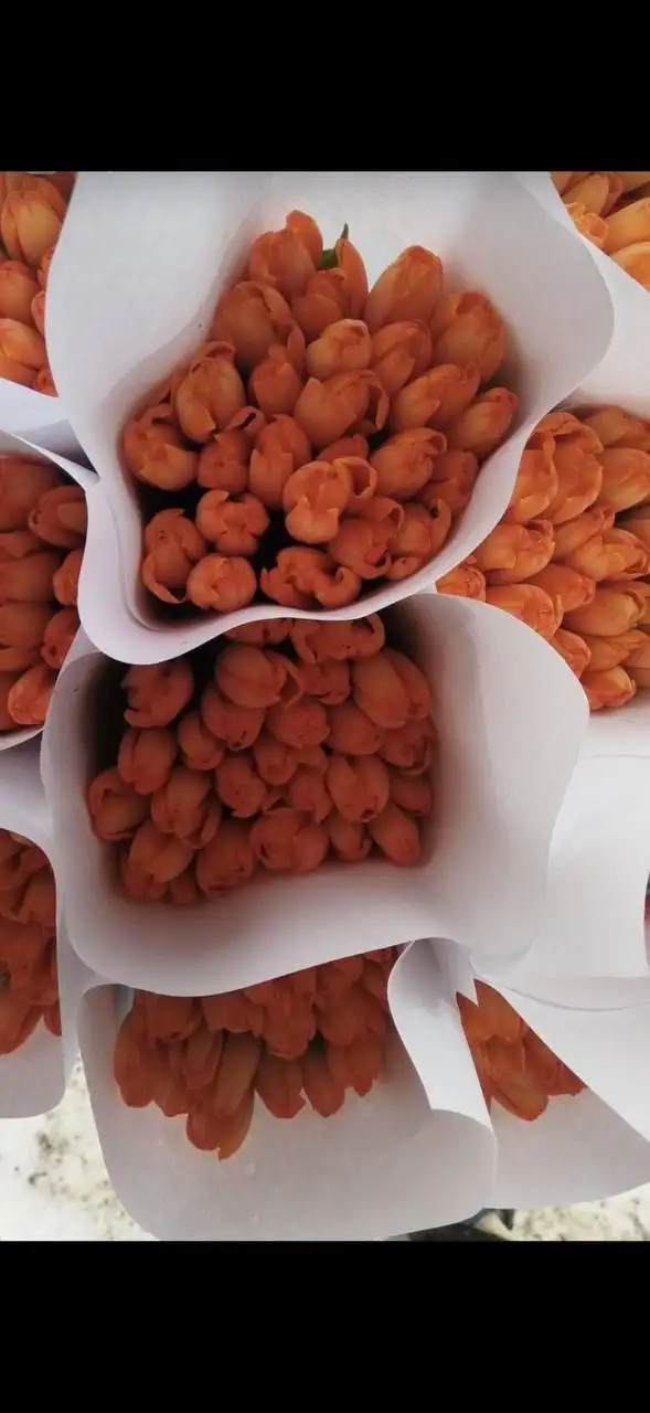 Принимаю заказы в Новокузнецке - Барахолка в Новокузнецк