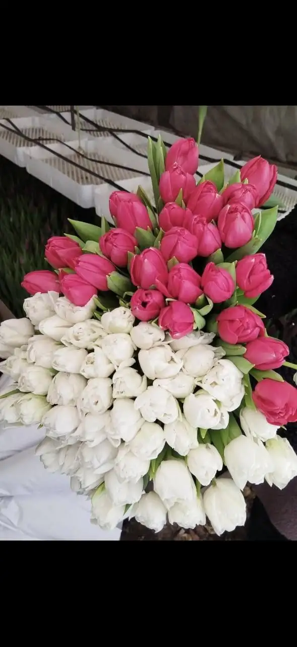 Принимаю заказы в Новокузнецке - Барахолка в Новокузнецк