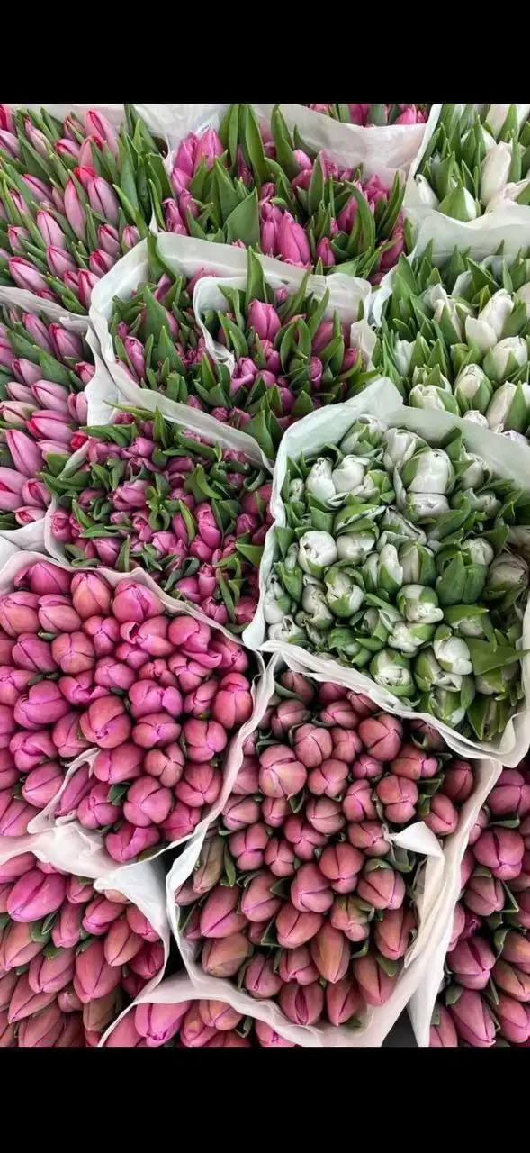 Принимаю заказы в Новокузнецке - Барахолка в Новокузнецк