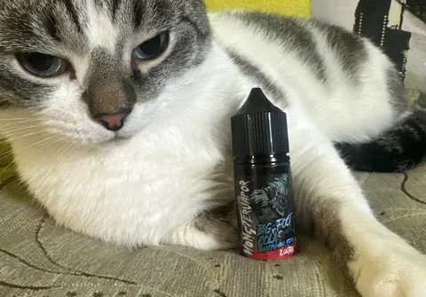 Продам жижу MONSTERVAPOR вкус виноградная кола - частное объявление в Новокузнецк