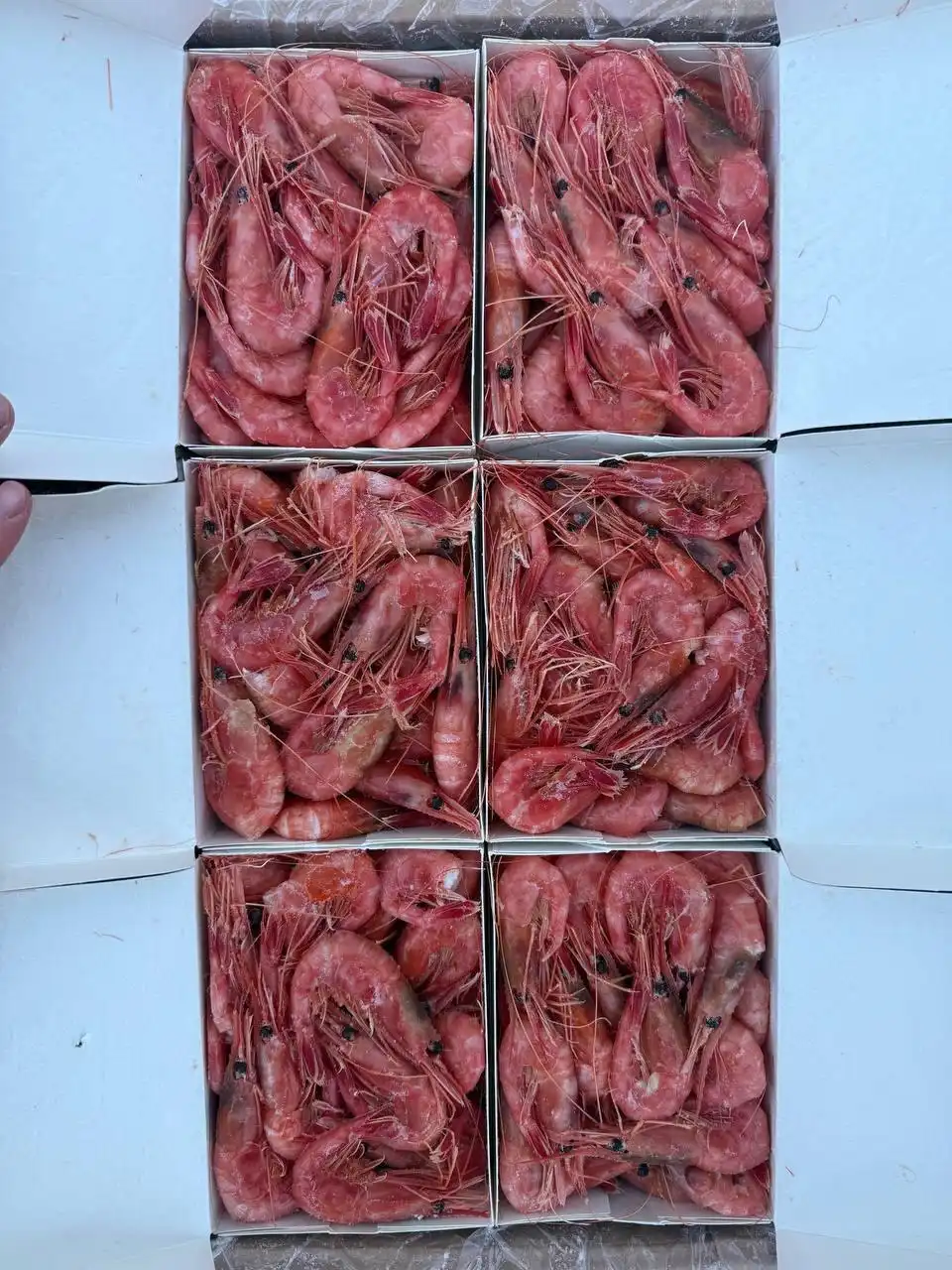 Креветка вылов сентябрь 25 года, размер 70/90, фасовка 1 кг - Продукты питания (Барахолка) в Хабаровск