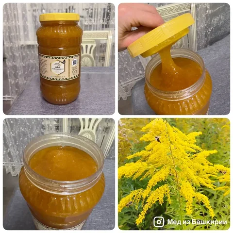 Продажа золотарникового мёда - Для животных в Уфа
