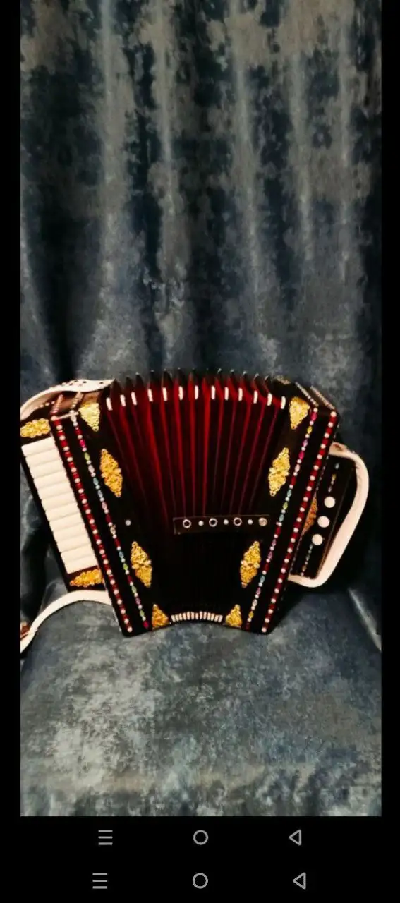 Продажа раритетной тальянки ручной работы после реставрации - Музыкальные инструменты (Хобби и отдых) в Уфа