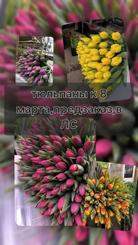 Барахолка Уфа - Стенды в Уфа