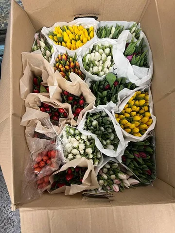 Тюльпаны в наличии - частное объявление в Уфа