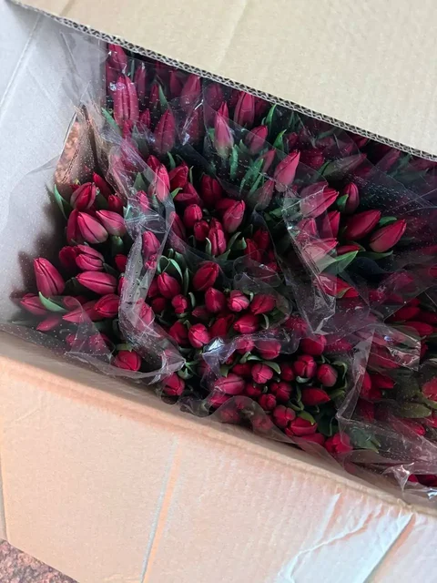 Принимаю заказы с бесплатной доставкой по городу - Гигиена в Уфа