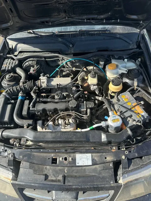 Ксюха рест 12 год - частное объявление в Вологда