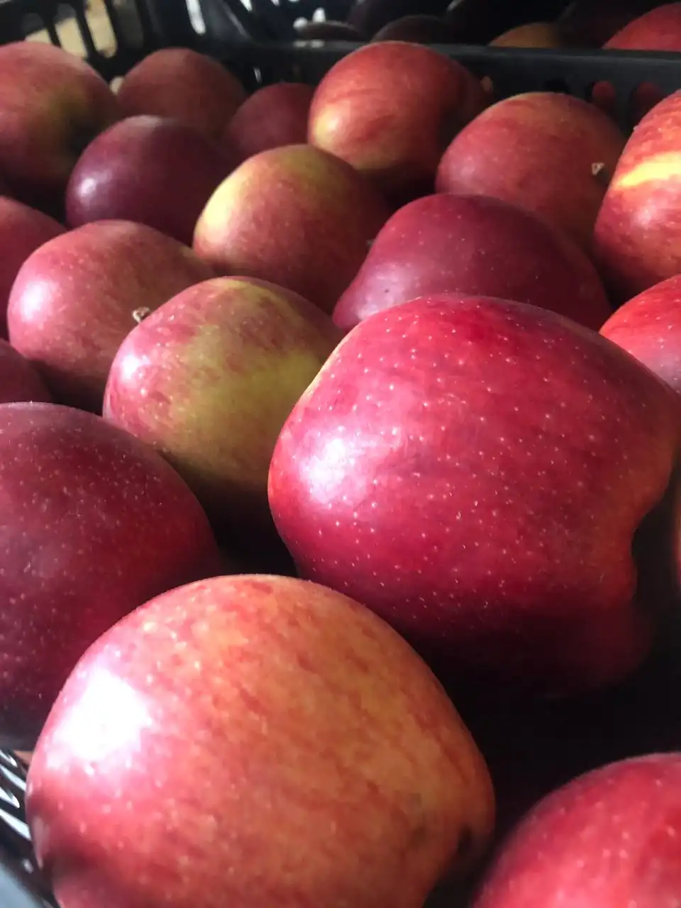 Свежие фрукты из Киргизии в Красноярске