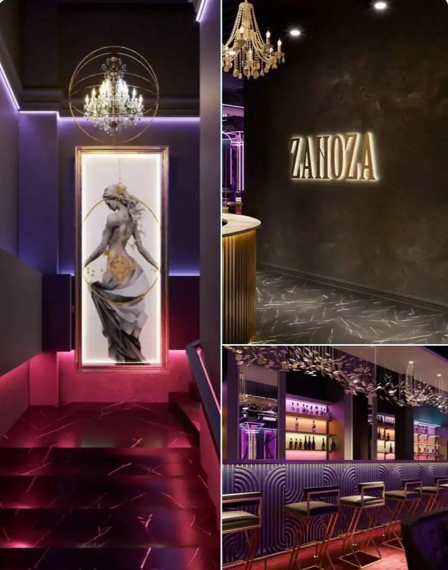 Набор девушек 18-35 лет в Premium Show Bar ZANOZA