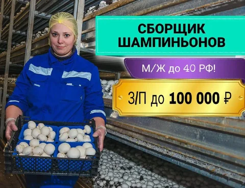 Работник на производстве шампиньонов в Кашире - частное объявление в Кашира