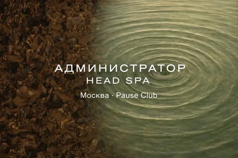 Администратор в SPA премиум класса - Инженерия и проектирование в Москва