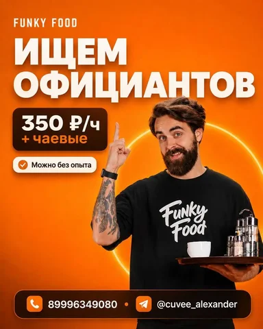 Официант в Funky Food - Плотники и столяры в Москва