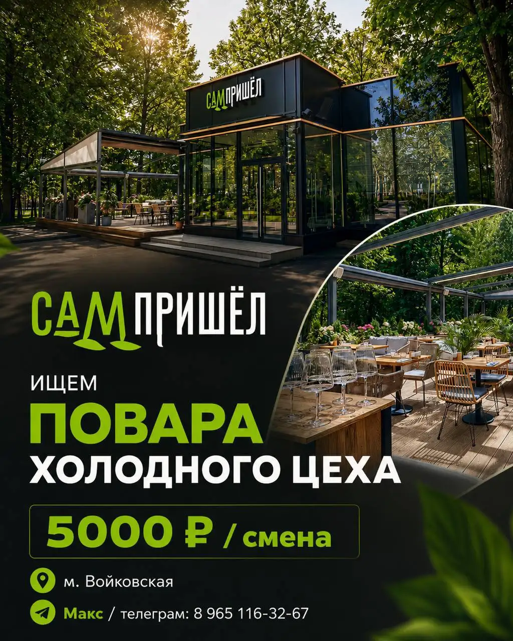 Повар холодного цеха, Хинкальщик - Повар (Работа) в Москва