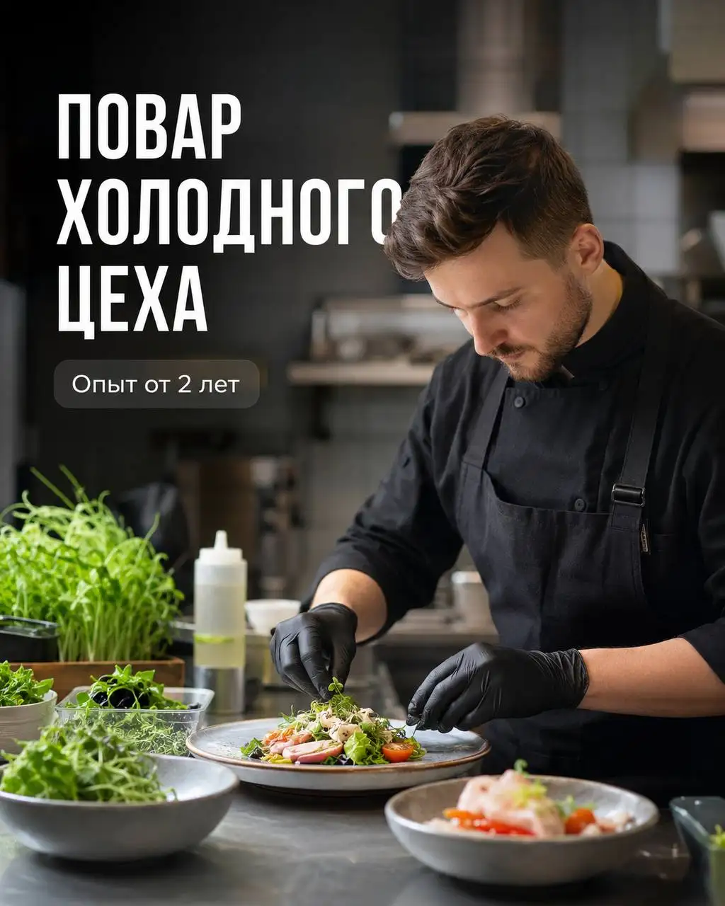 Повар холодного цеха - Повар (Работа) в Москва