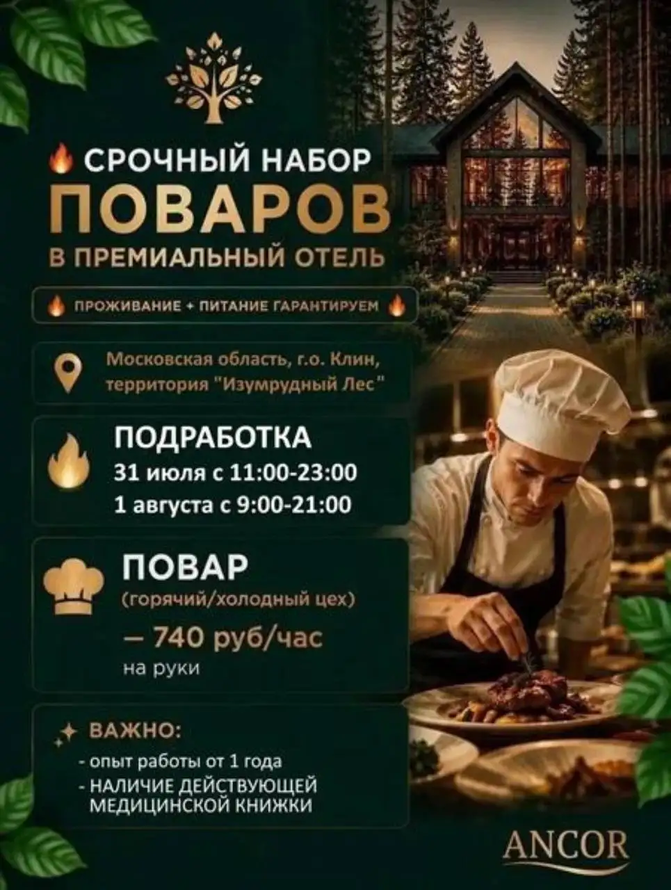 Срочный набор поваров в премиальный отель - Вакансии (Работа) в Клин
