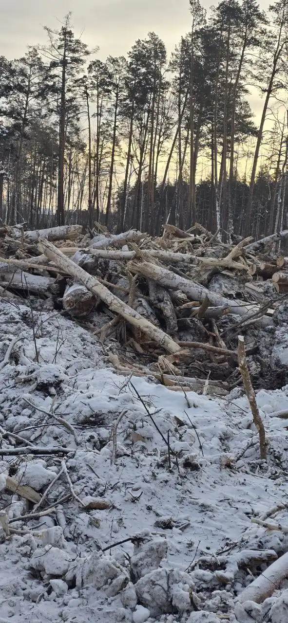Дрова бесплатно - Дрова (Барахолка) в Братск