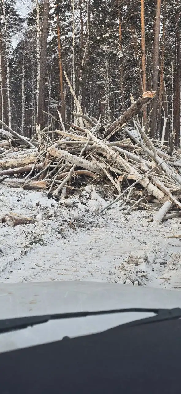 Дрова бесплатно - Дрова (Барахолка) в Братск