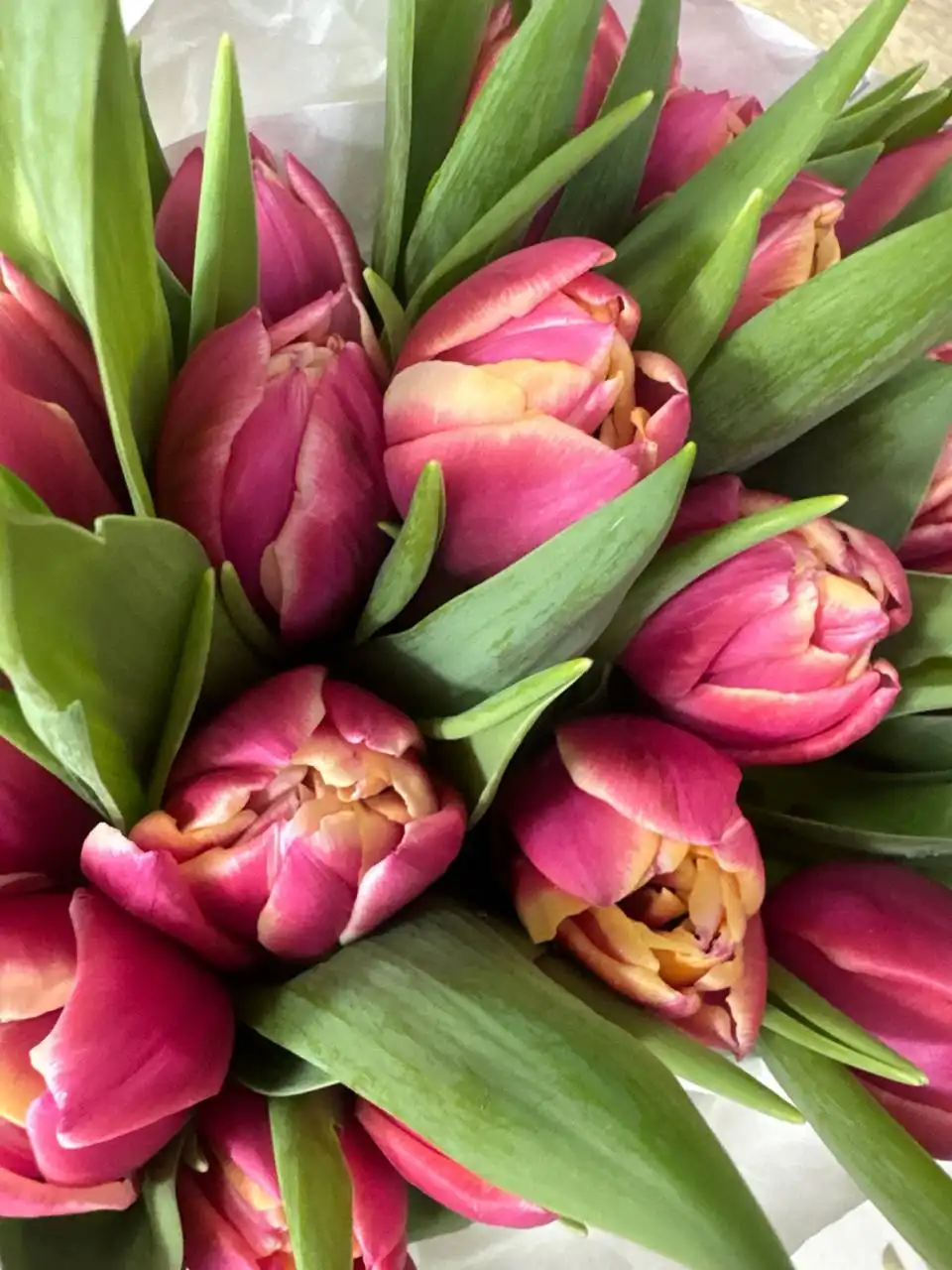 Подарите яркие эмоции с цветами - Доставка цветов (Услуги) в Братск