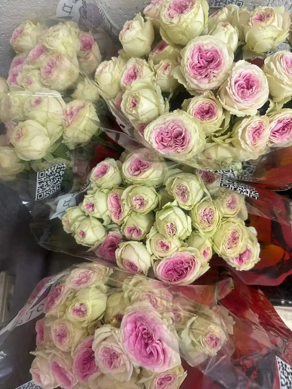 Подарите яркие эмоции с цветами - Доставка цветов (Услуги) в Братск