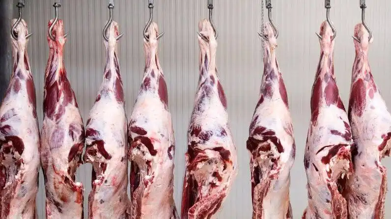 Продажа свежей домашней телятины