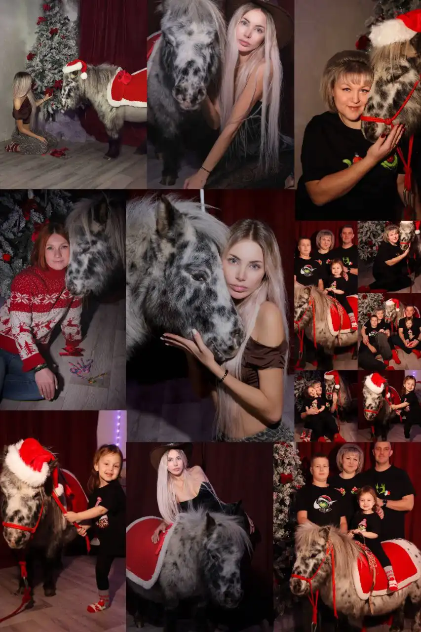 Фотосессия с пони для детей - Фотосъёмка (Услуги) в Братск