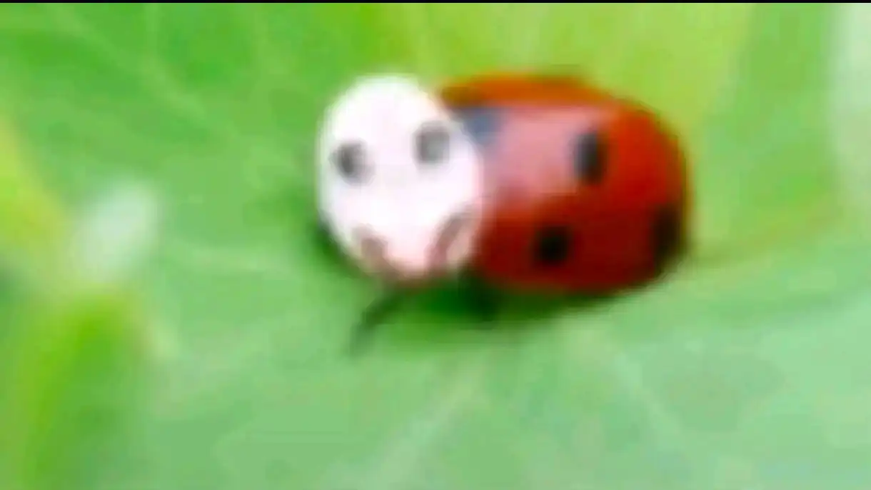 Продам POCO X6 Pro 12/512 Гб