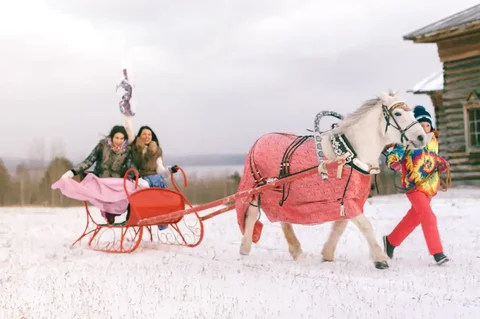 Катание на санях с лошадью на Масленицу - частное объявление в Братск
