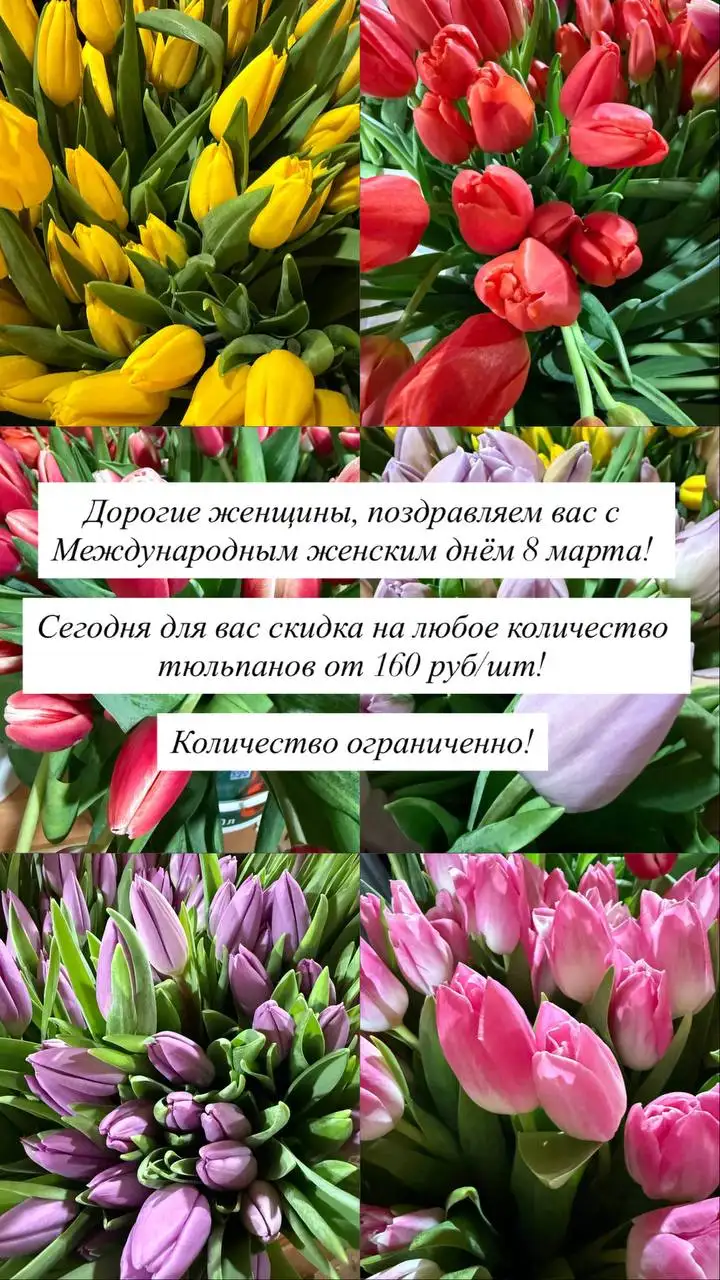 Продажа на ТЦ «Проспект» в Братске - Барахолка в Братск