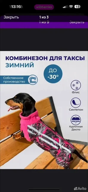 Комбинезон и клетка для собак - Одежда для животных в Братск