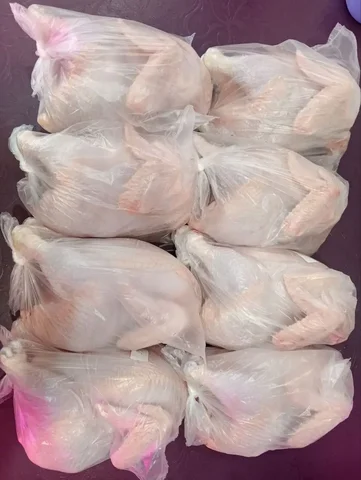 Свежайшее мясо бройлеров цыплят - Барахолка в Братск