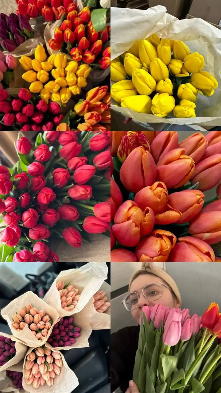 Тюльпаны к 8 марта - опт и розница